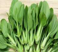 sayur sawi